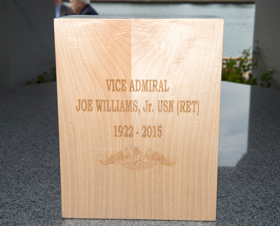 DSC_4406Vice Admiral Joe Williams